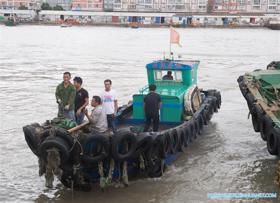 Tuf?o Talim traz ondas gigantes à província de Zhejiang