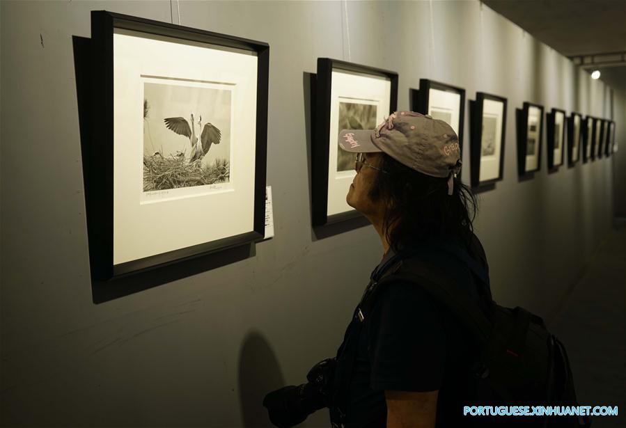 Destaques do 17o Festival Internacional de Fotografia de Pingyao