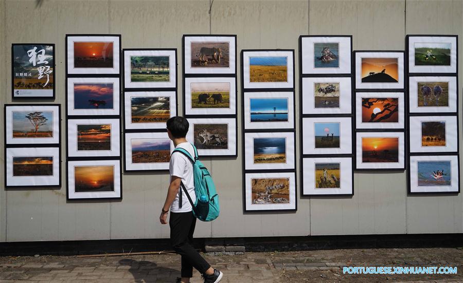 Destaques do 17o Festival Internacional de Fotografia de Pingyao