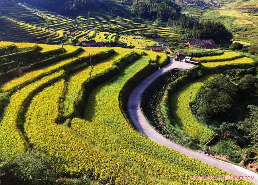 Paisagem de terra?os em Fujian, no sudeste da China