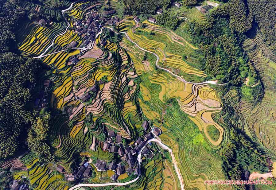 Paisagem de terra?os em Fujian, no sudeste da China