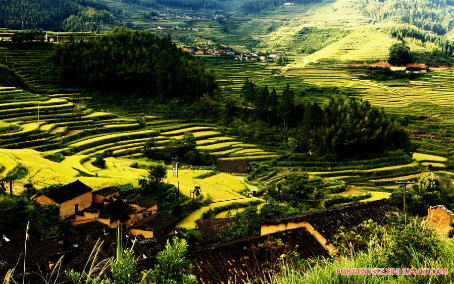 Paisagem de terra?os em Fujian, no sudeste da China
