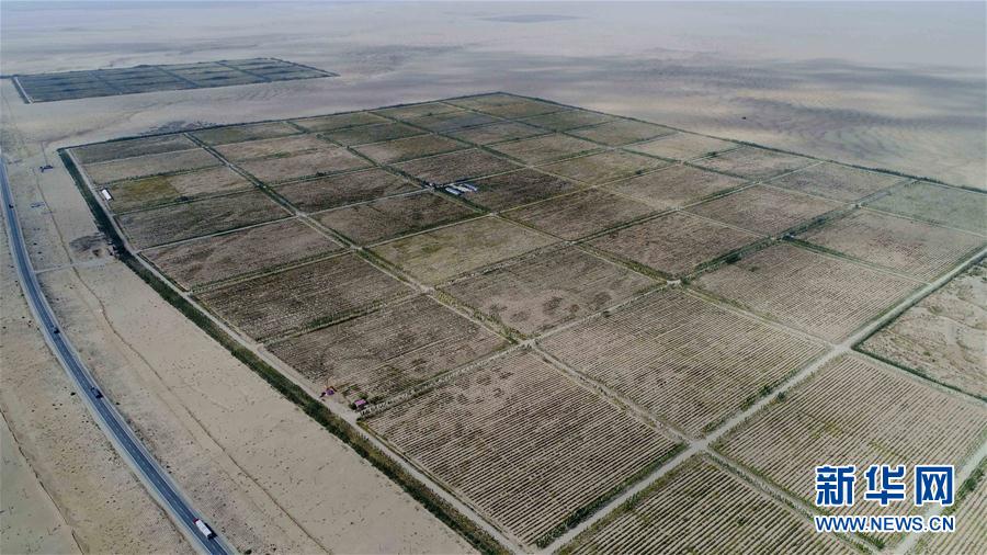 Desertifica??o na Bacia de Tarim controlada com sucesso