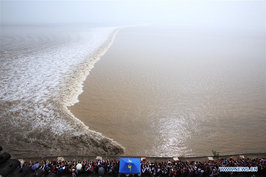 Macaréu do rio Qiantang atinge ponto máximo