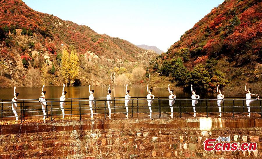 Galeria: Cores outonais e yoga