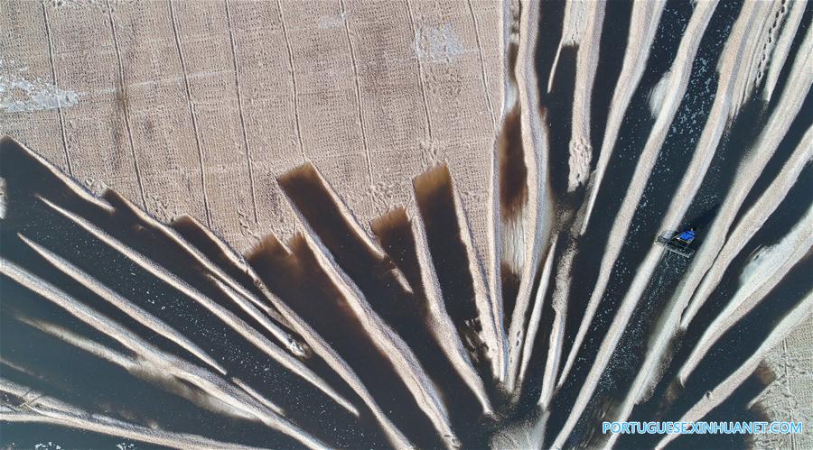 Produ??o de sal marinho da cidade chinesa de Huanghua deverá atingir 550.000 toneladas