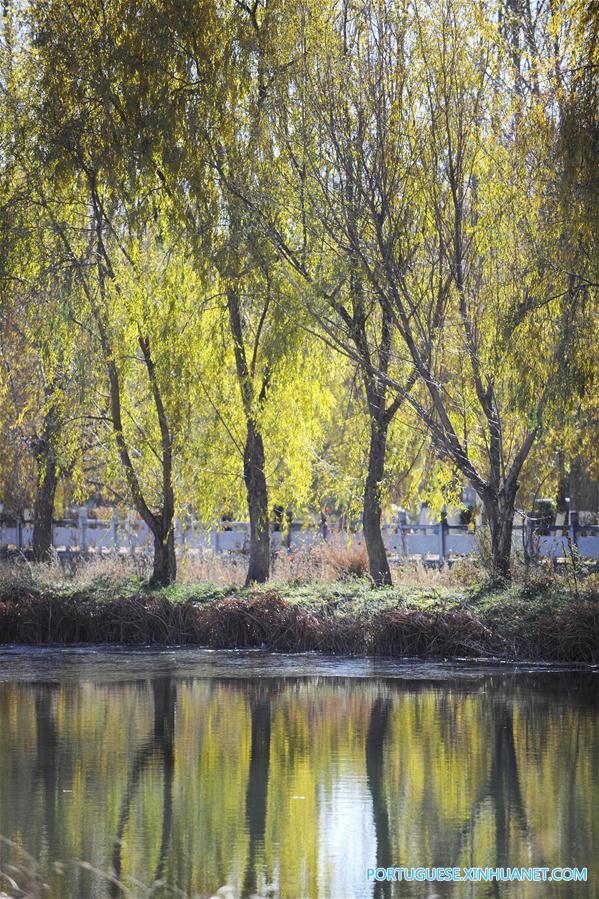 Em imagens: Pantano Lalu em Lhasa
