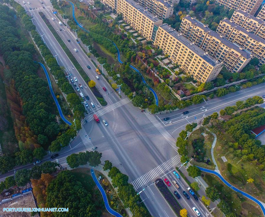 Ciclovias verdes oferecem op??o de viagem ecológica na China