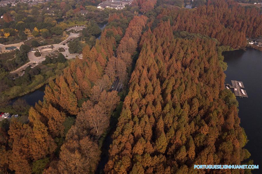 Em imagens: Lago do Oeste em Hangzhou, no leste da China