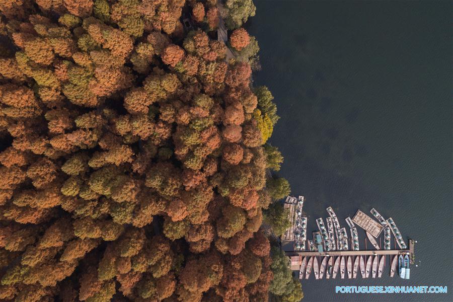 Em imagens: Lago do Oeste em Hangzhou, no leste da China