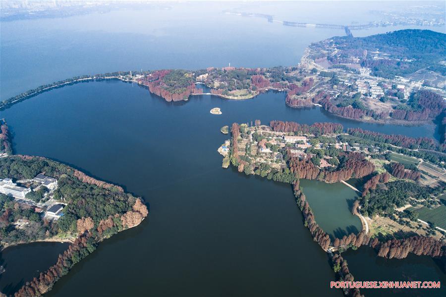 Nova rede de via verde em Wuhan abrirá ao público