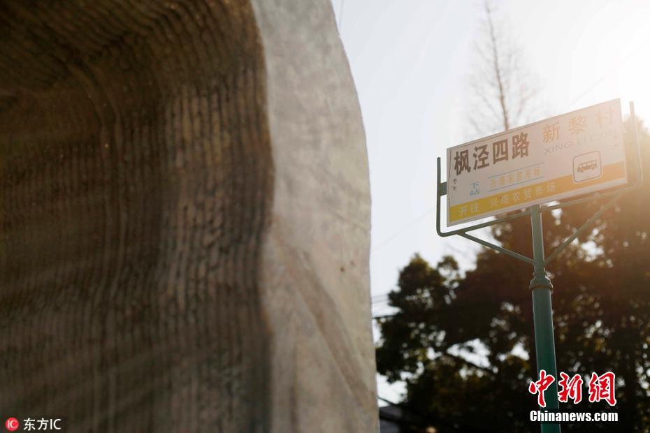 Galeria: Primeira paragem de ?nibus impressa a 3D em destaque em Shanghai