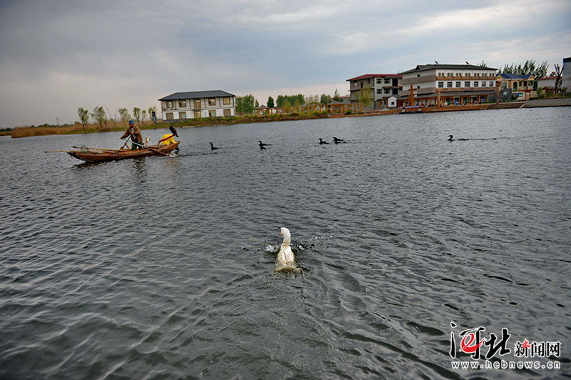 Galeria: Paisagem do distrito de Anxin, na Nova área de Xiongan