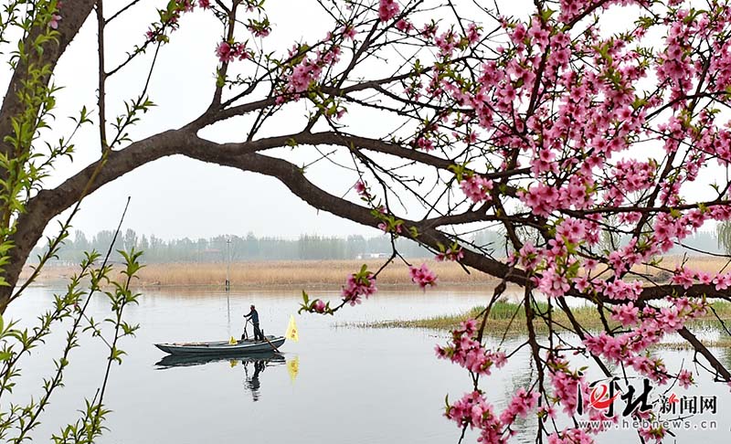 Galeria: Paisagem do distrito de Anxin, na Nova área de Xiongan
