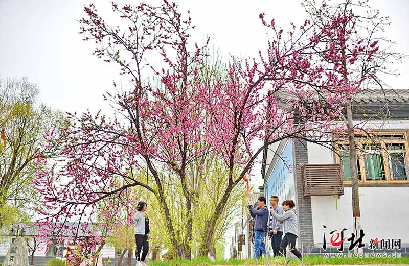 Galeria: Paisagem do distrito de Anxin, na Nova área de Xiongan