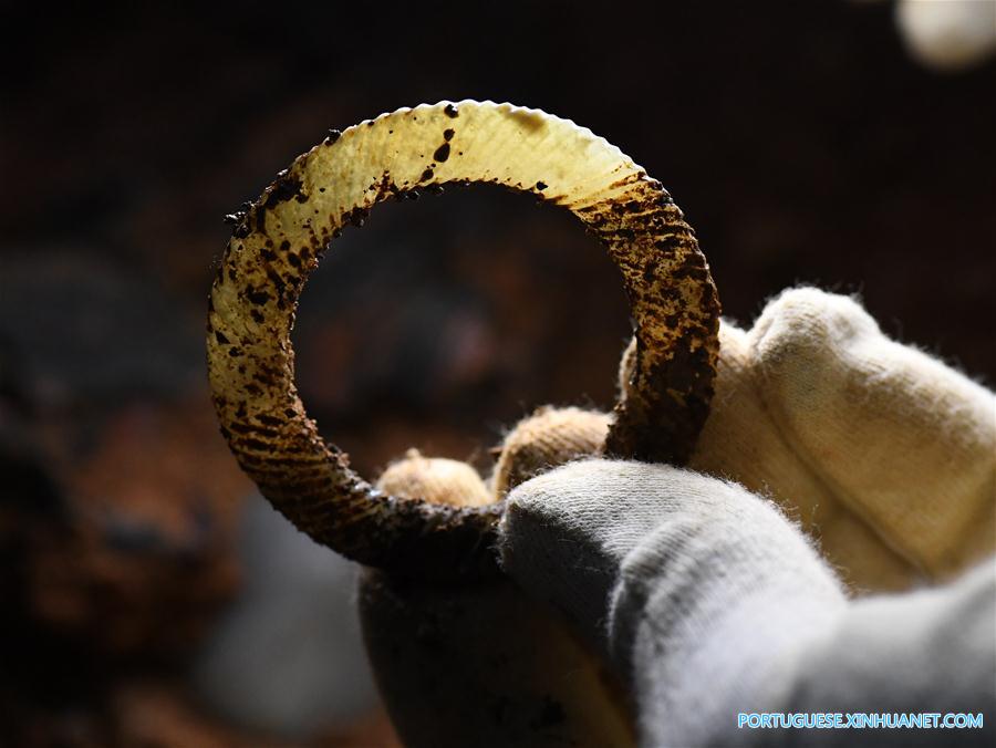 Relíquias de Jade descobertas do túmulo n° 5 do Marquês de Haihun em Nanchang