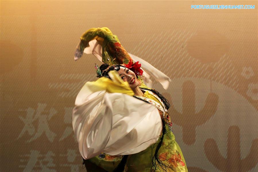 Show culturais celebram Ano Novo chinês em Am?, Jordania