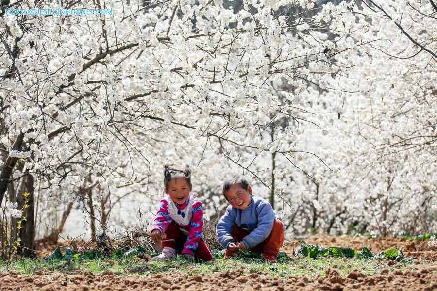 Esta??o das flores transforma paisagens na China