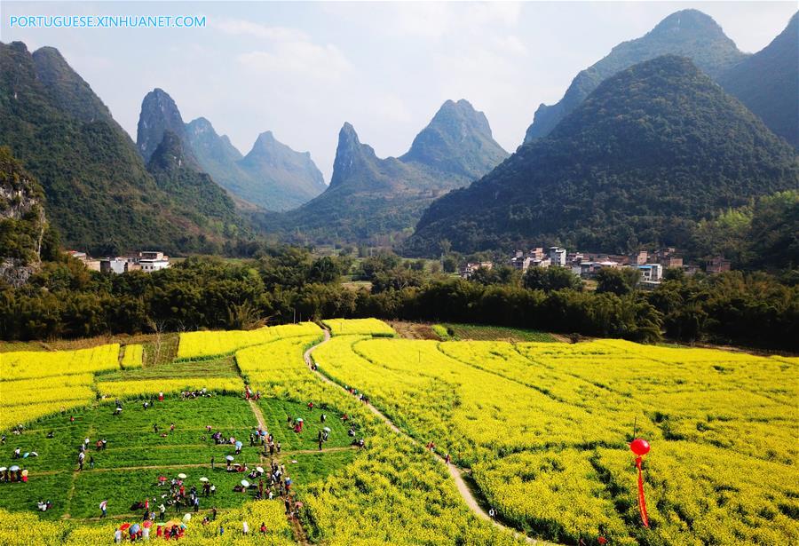 Esta??o das flores transforma paisagens na China