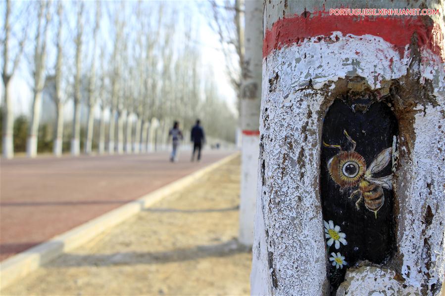 Desenhos em árvores atraem turistas em parque de Ningxia