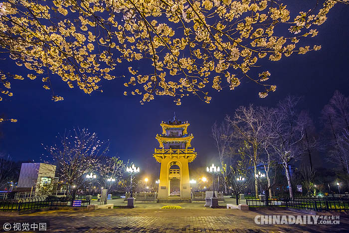 Galeria: Conhe?a os melhores lugares para apreciar as flores de cerejeira na China