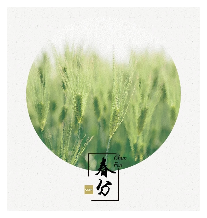 Galeria: Primavera em plena flora??o com a chegada do equinócio vernal