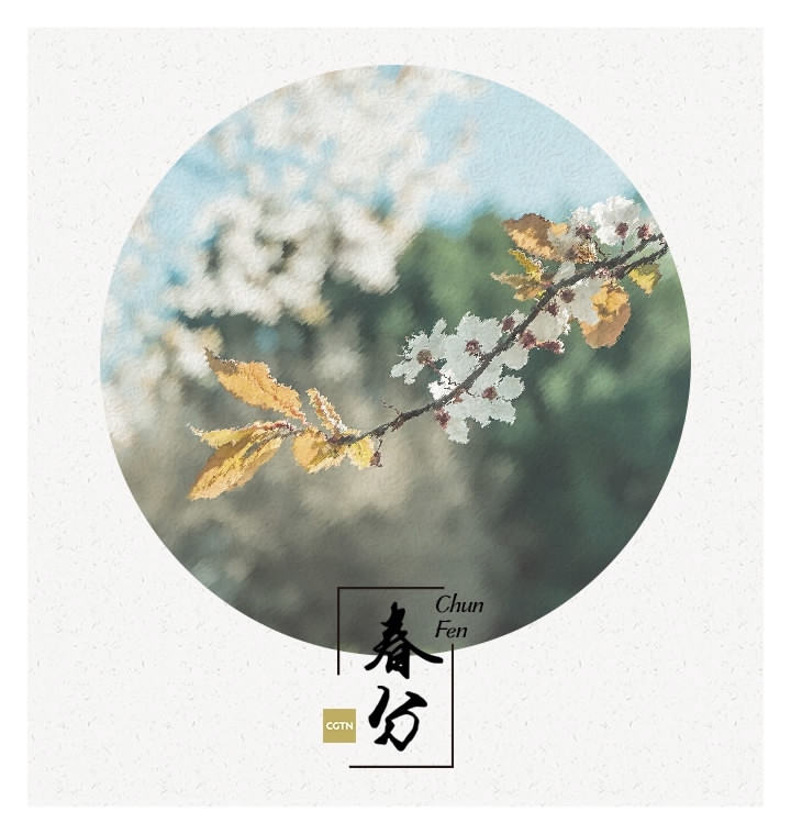 Galeria: Primavera em plena flora??o com a chegada do equinócio vernal