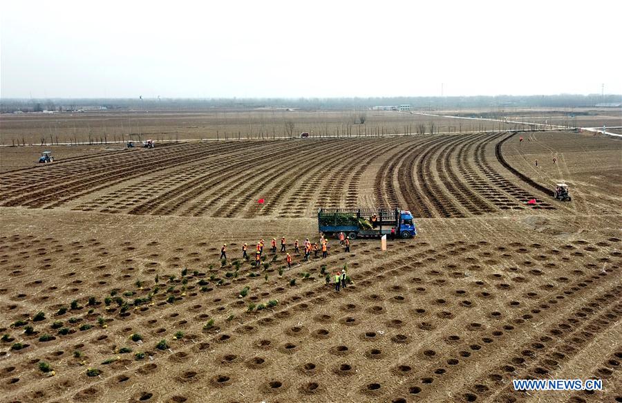 Galeria: Primeiro aniversário do estabelecimento da Nova área de Xiong’an