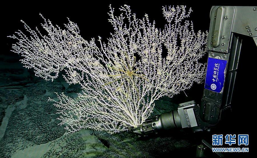 Galeria: Navio de pesquisa chinês enviado para expedi??o a montes submarinos