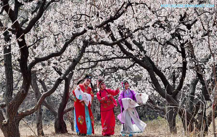 F?s de ópera chinesa se apresentam em jardim de Tangshan