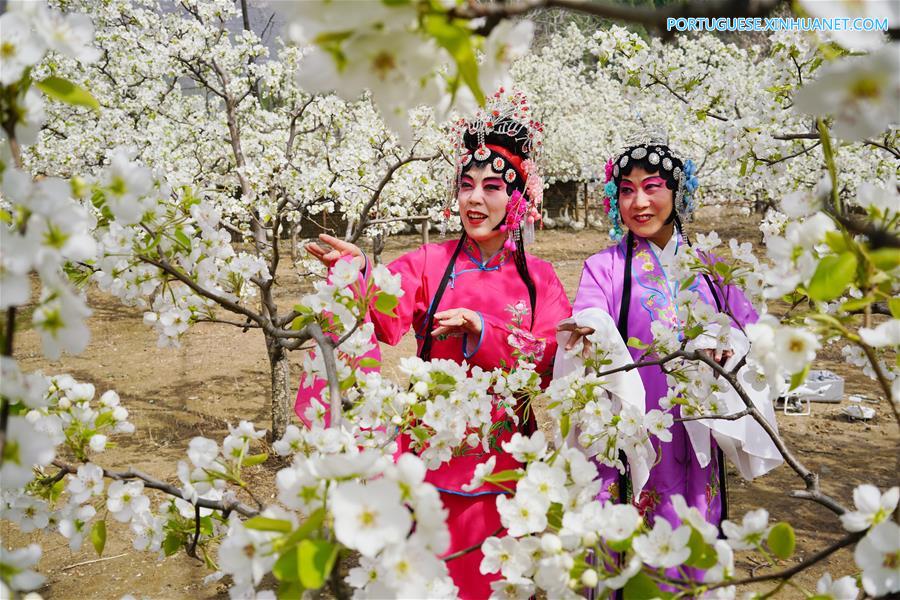F?s de ópera chinesa se apresentam em jardim de Tangshan
