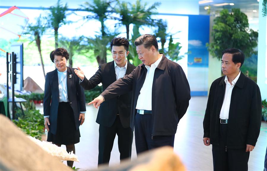 Em Hainan, presidente chinês sublinha reforma, abertura e prote??o ambiental