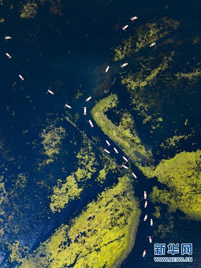 Galeria: Lago de Baiyangdian na Nova área de Xiong’an