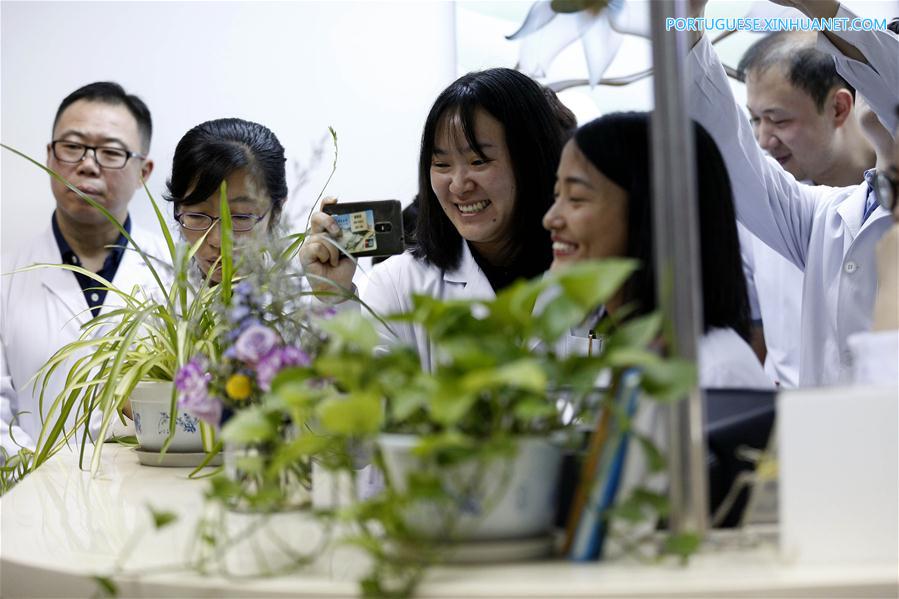 Apresenta??o musical gratuita realizada em hospital em Beijing