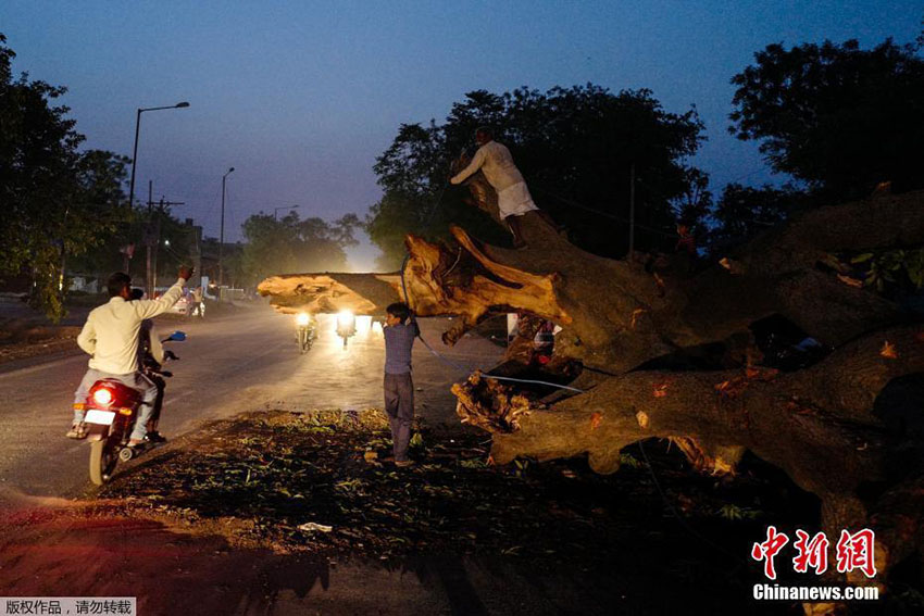 Tempestade de areia deixa pelo menos 116 mortos no norte da índia