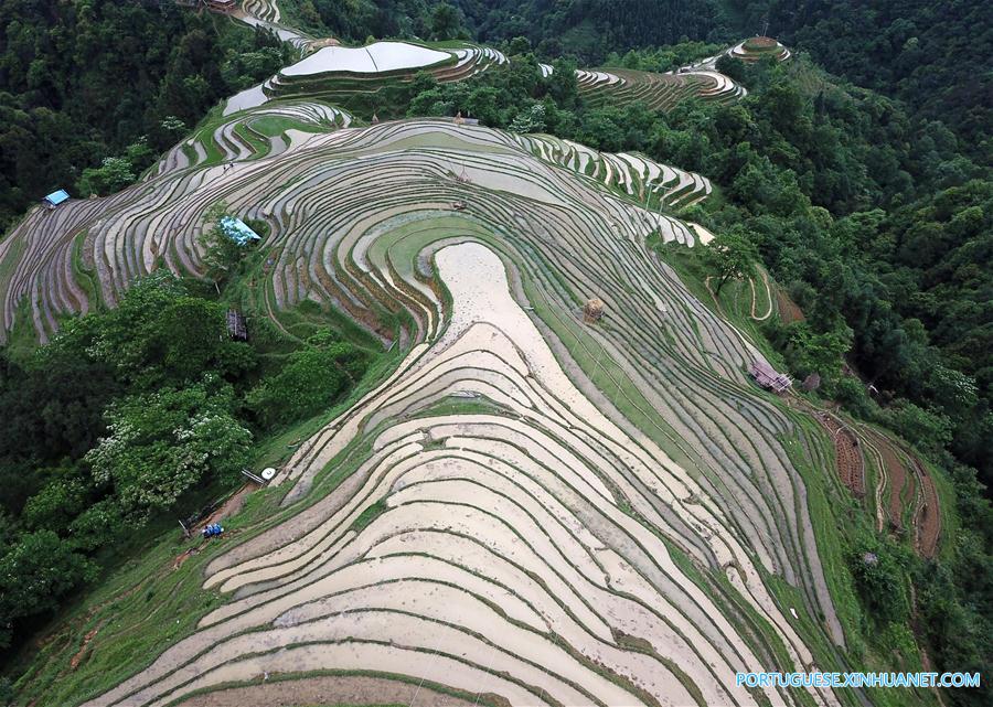 Alde?es do grupo étnico Miao trabalham em campos de terra?os em Guizhou