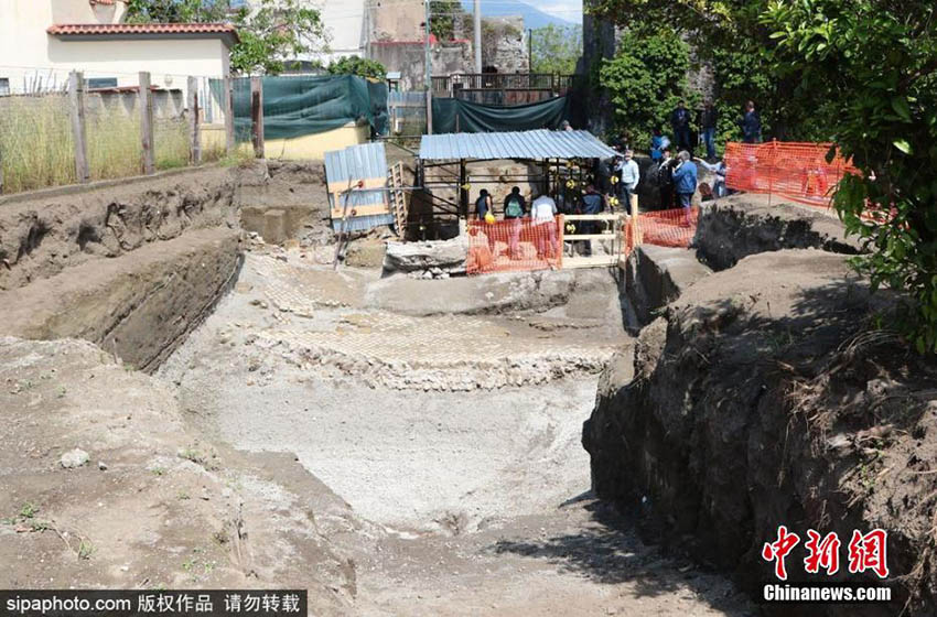Pompeia: Restos de cavalo descobertos durante escava??es arqueológicas em Civita Giuliana