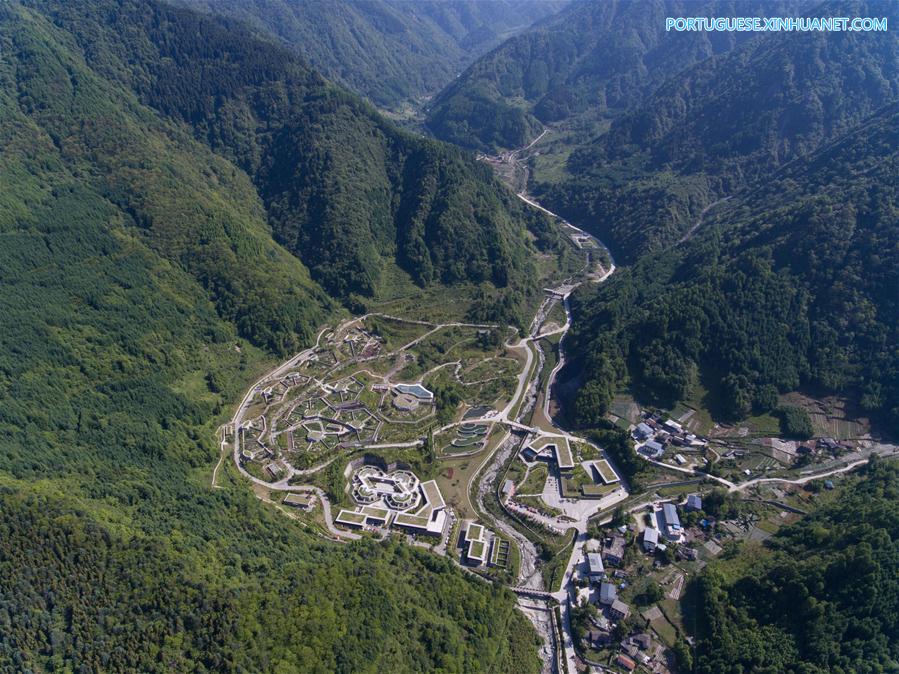 Base de prote??o de Shenshuping abriga mais de 50 pandas gigantes em Sichuan, sudoeste da China