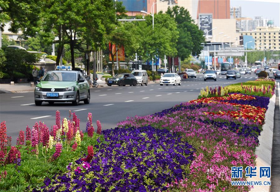 Galeria: Qingdao decorada a rigor para receber Cúpula da OCS