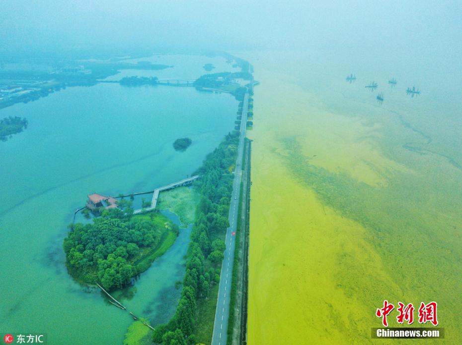 Lago Tai adquire colora??o amarela devido ao excesso de algas