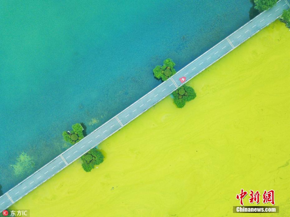 Lago Tai adquire colora??o amarela devido ao excesso de algas