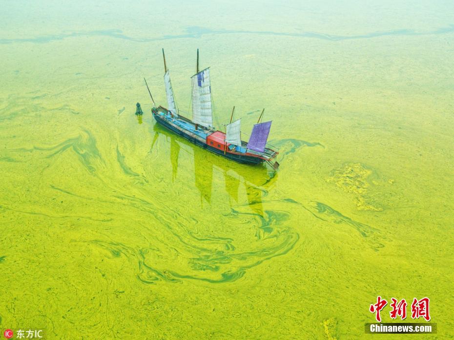 Lago Tai adquire colora??o amarela devido ao excesso de algas