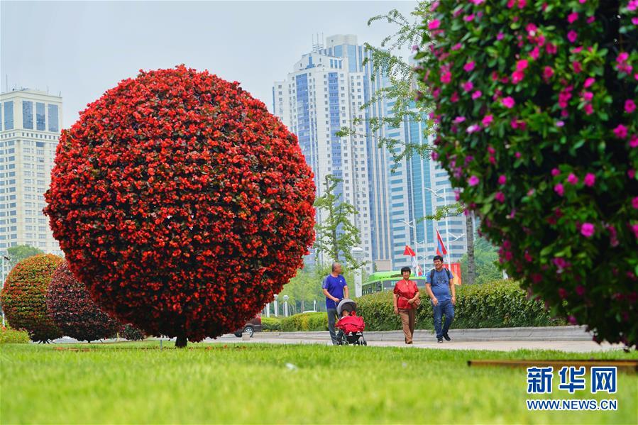 Conhe?a Qingdao, cidade anfitri? da Cúpula da OCS
