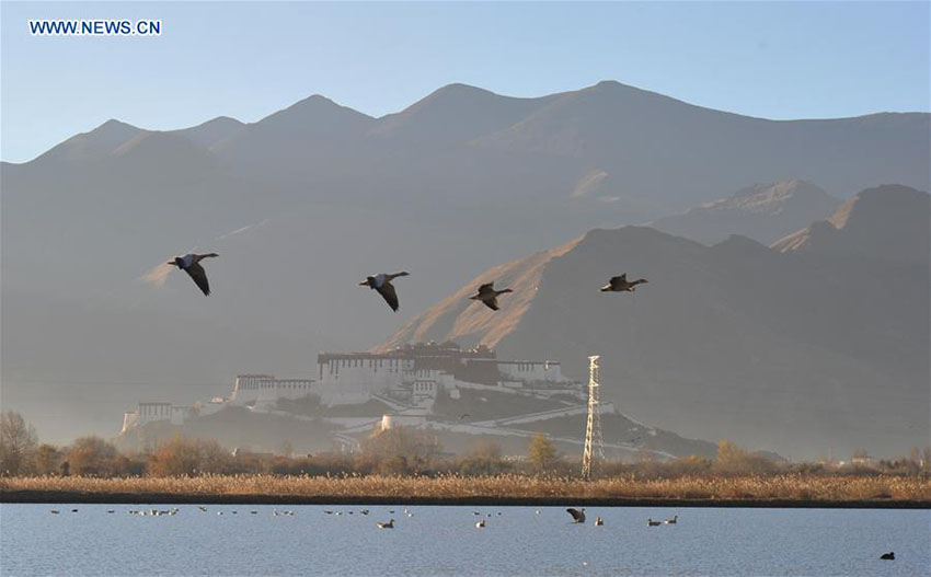 área de pantanos da China ocupa o 4o lugar no mundo