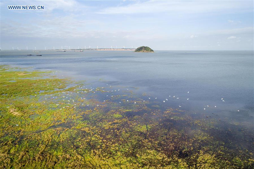 área de pantanos da China ocupa o 4o lugar no mundo