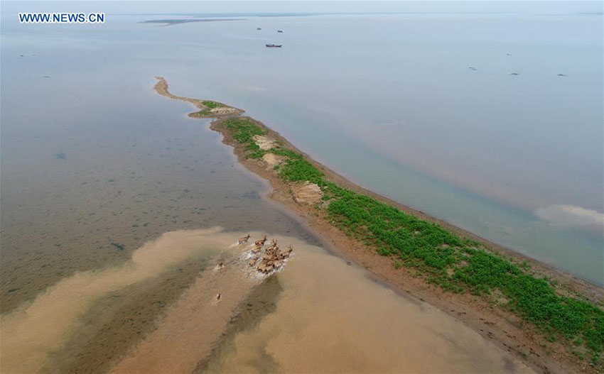 área de pantanos da China ocupa o 4o lugar no mundo