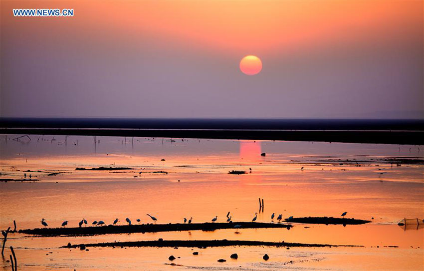 área de pantanos da China ocupa o 4o lugar no mundo