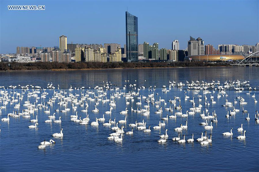 área de pantanos da China ocupa o 4o lugar no mundo