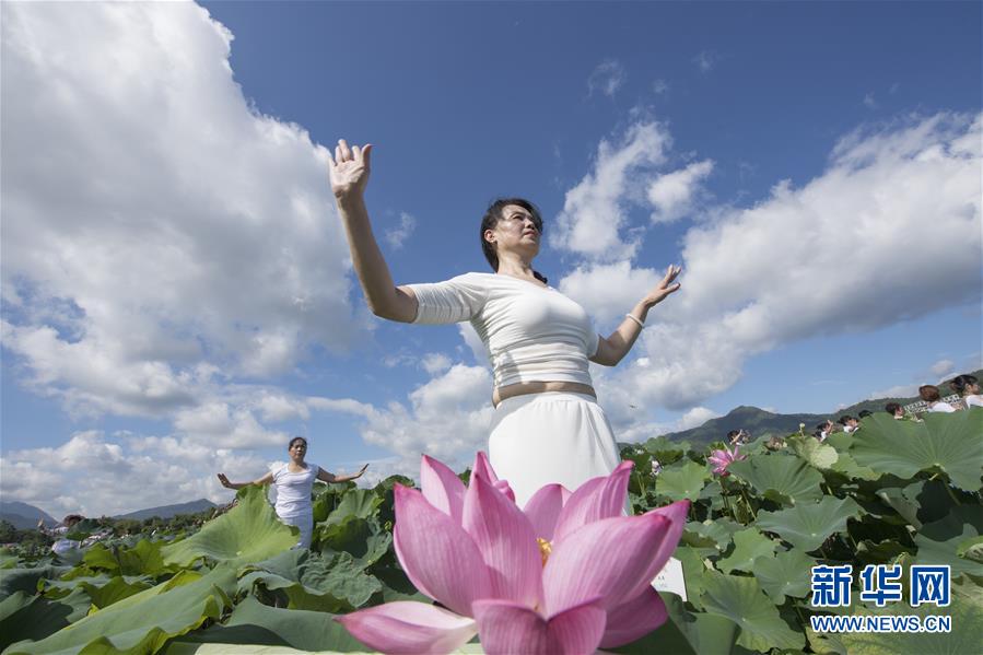 Fujian: Performance de ioga no “mar de flores de lótus” 