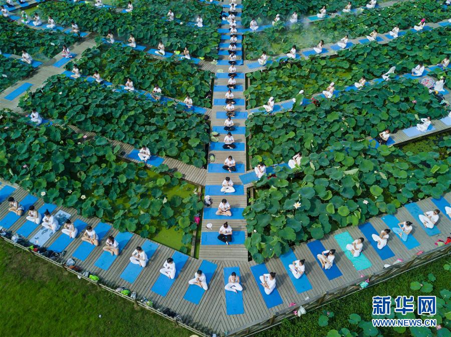 Fujian: Performance de ioga no “mar de flores de lótus” 